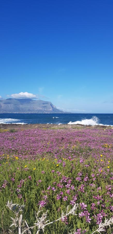 Appartamento Casa Turà Isola delle Femmine Esterno foto